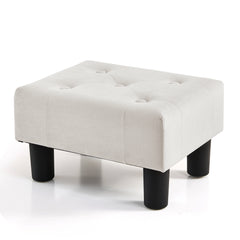 Small Foot Stool Ottoman(Velvet)